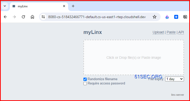 [5 Mins Docker] Create Paste & File Share Site with API Support in Command Line - Linx-Server
